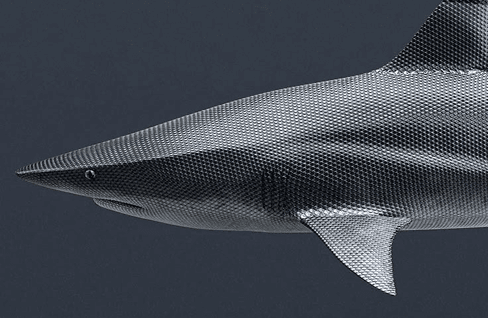 Person comparing crypto wallet options